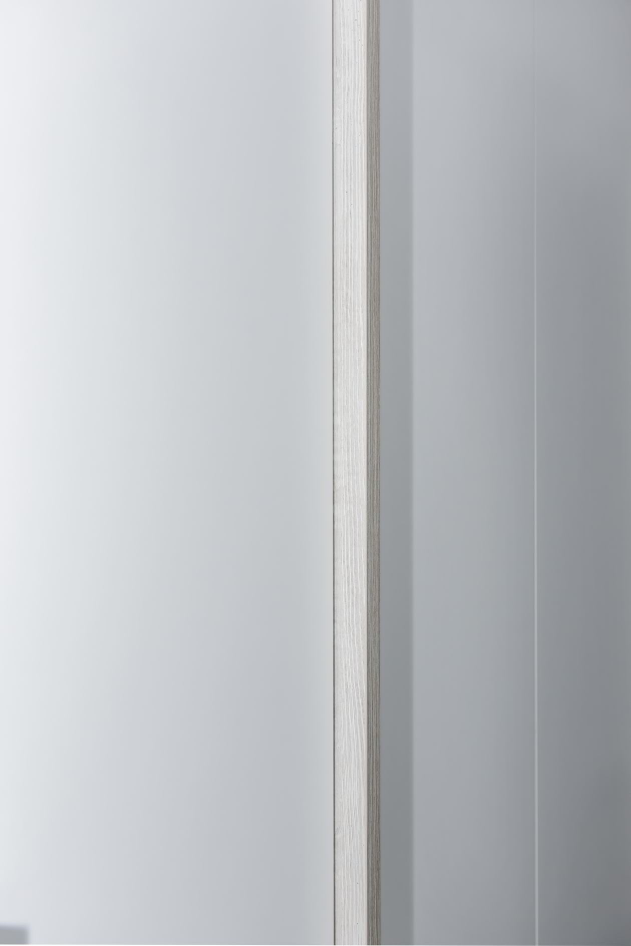 Proiect mobila Hol cu dulap pana in tavan, sistem inchidere cu usi batante, 12m², realizat 14 Octombrie 2020 COD.11812