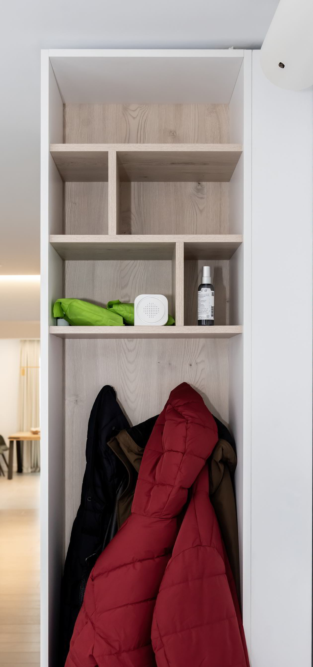Proiect mobila Hol 10m² — foto 5 din 7
