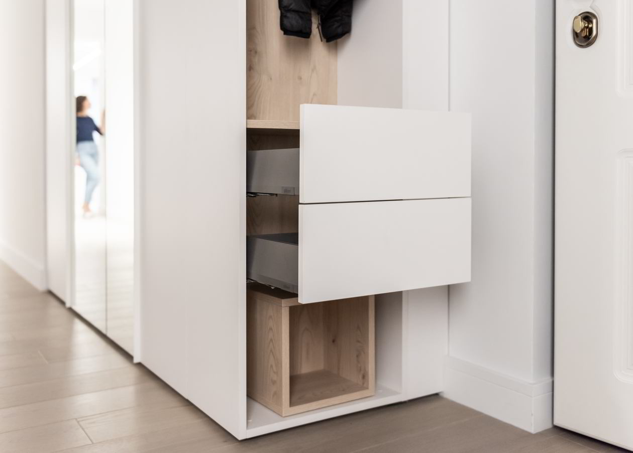 Proiect mobila Hol 10m² — foto 6 din 7