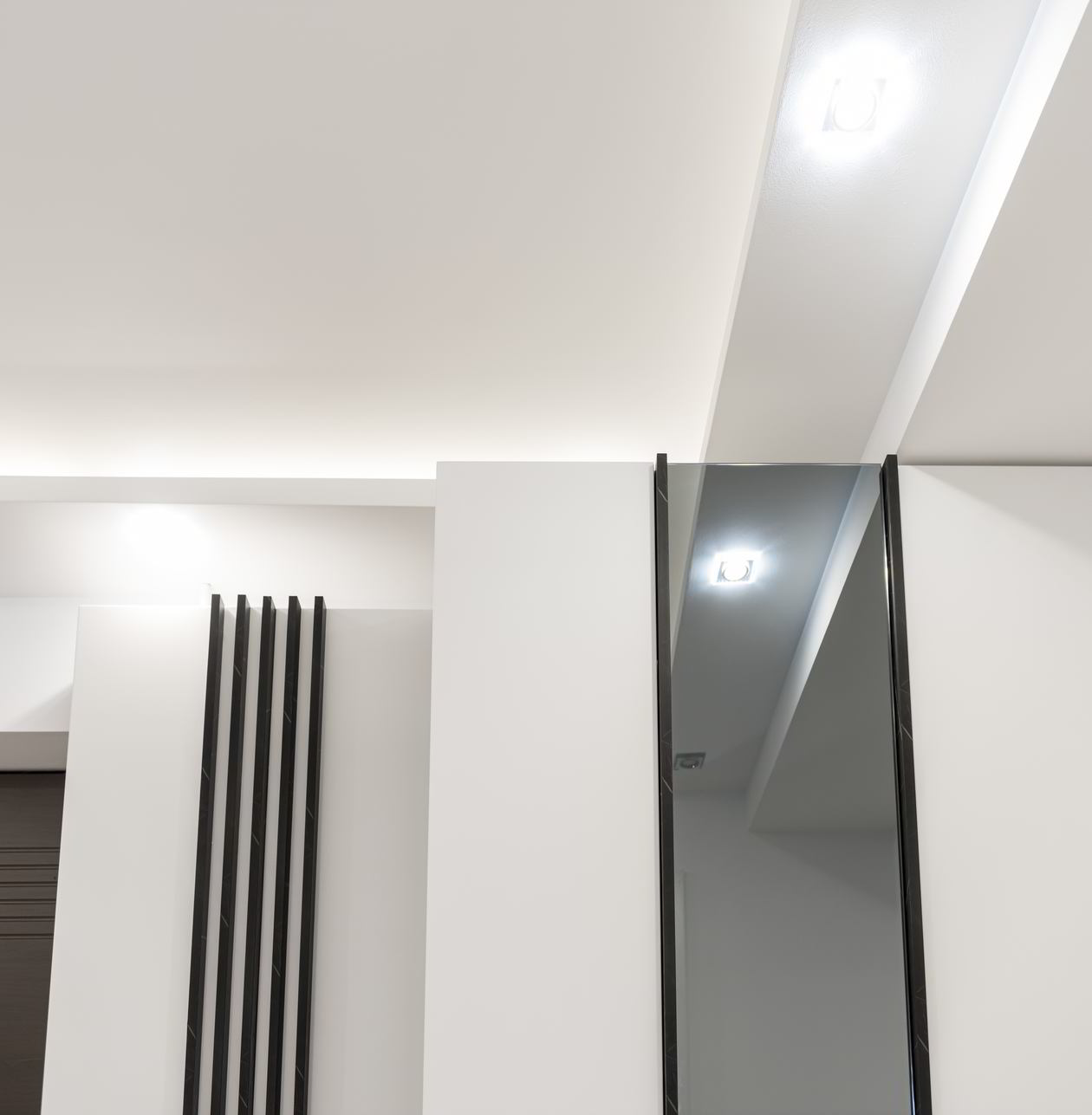 Proiect mobila Hol cu dulap in doua adancimi, comoda cu usi, comoda cu sertare, riflaje, cuier — foto 3 din 7