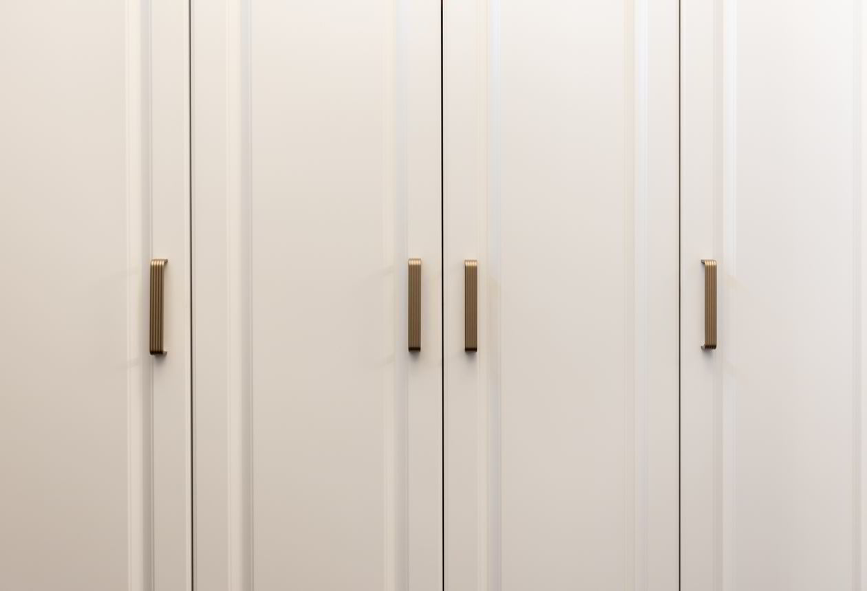 Proiect mobila Hol cu dulap, cuier, sistem inchidere cu usi batante, dressing — foto 2 din 7