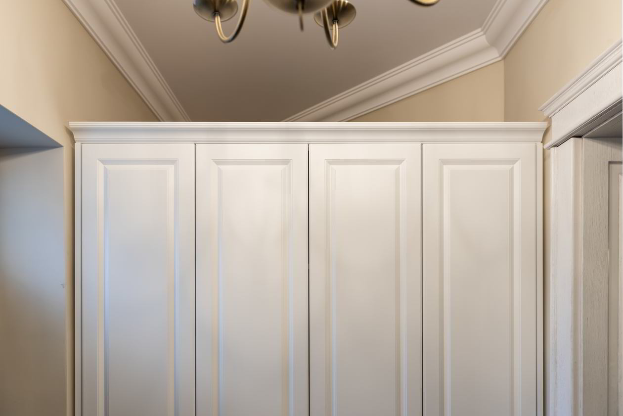 Proiect mobila Hol cu dulap, cuier, sistem inchidere cu usi batante, dressing — foto 3 din 7