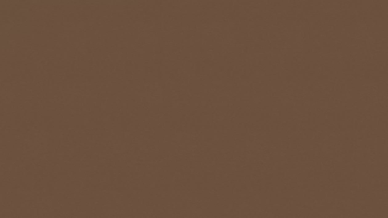 Metal periat bronz F528 - ST20 - 18mm, PAL Eurodekor EGGER COD.19134