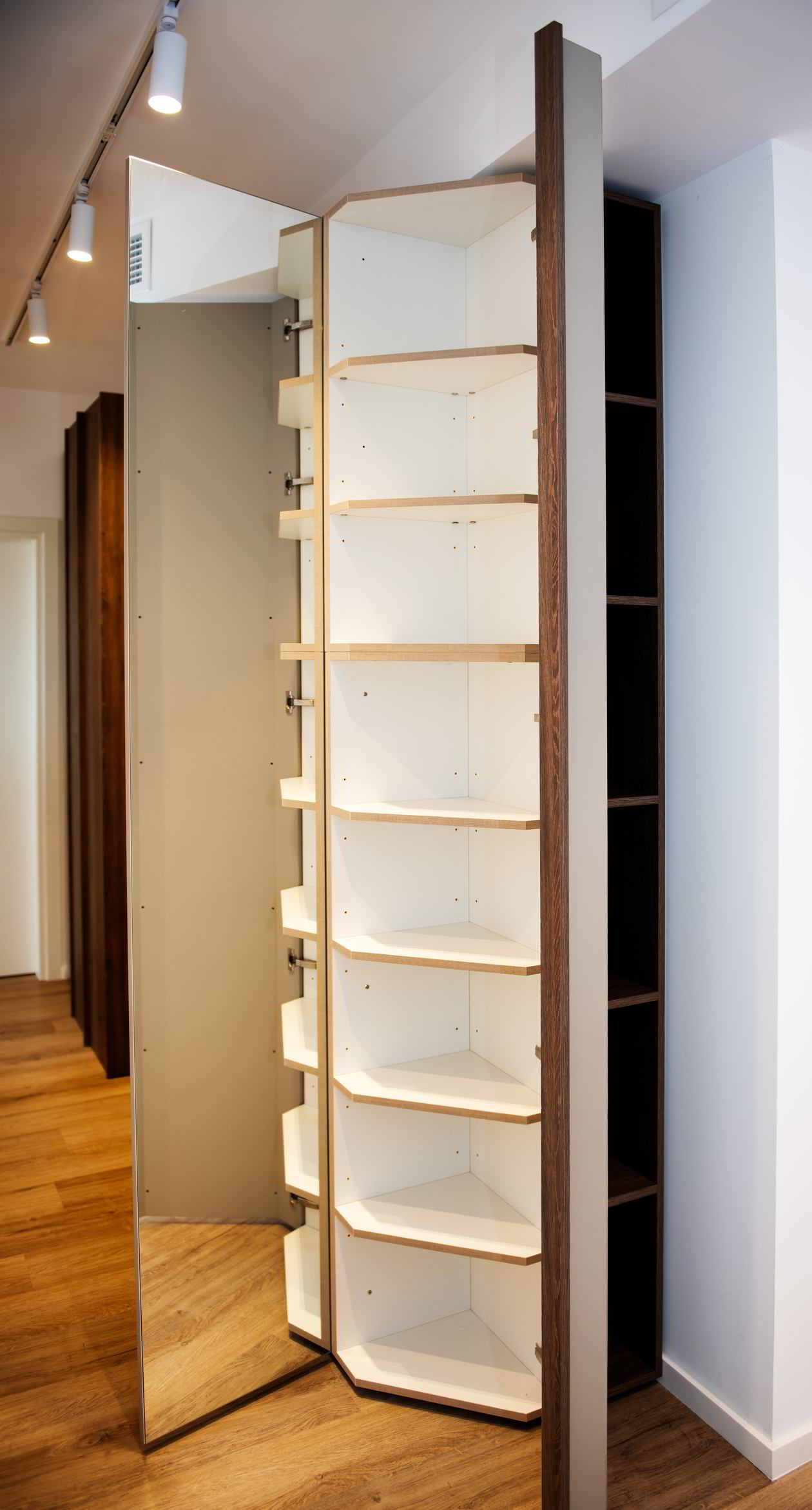 Proiect mobila Hol cu dulap, MARE — foto 3 din 7