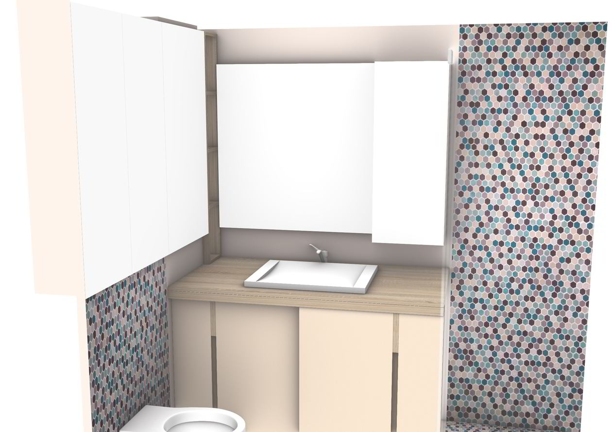 Proiect mobila Baie de serviciu, cu dulap suspendat, comoda cu usi, suspendat cu depozitare si oglinda, 4m², realizat 21 Decembrie 2017 COD.5588