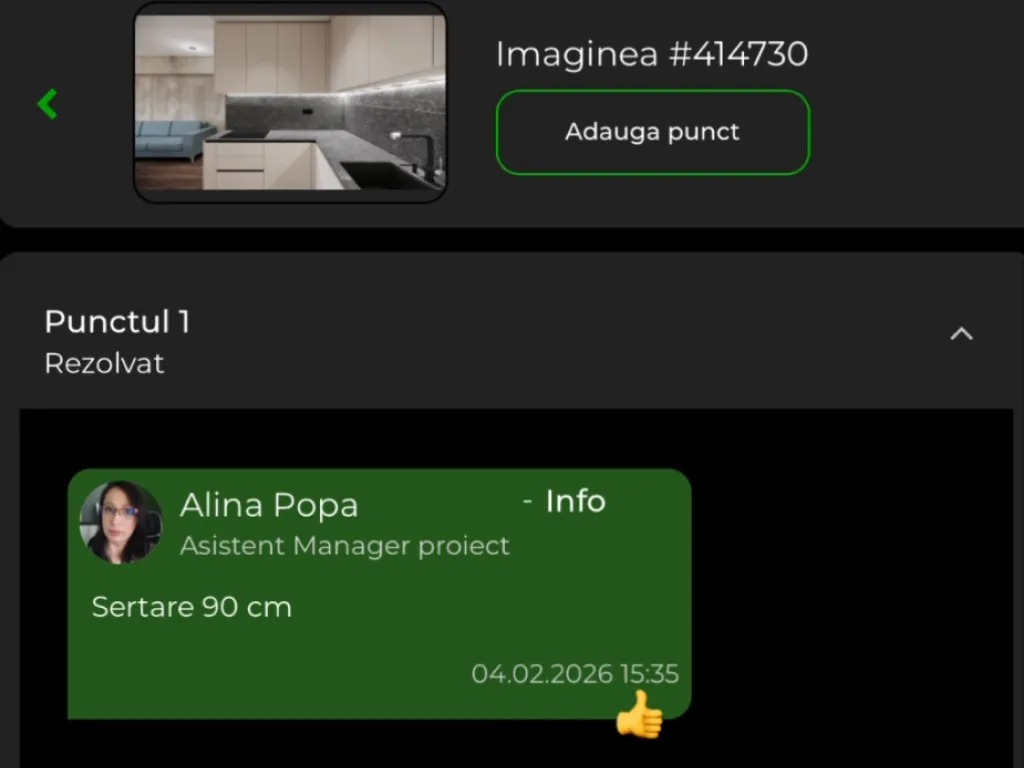 Observație ChatPoint plasată pe imaginea proiectului