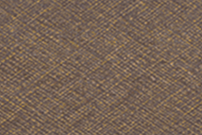 Bronz periat diamant F8930 - R2, cant ABS 23 x 1 mm EGGER — foto 1 din 1