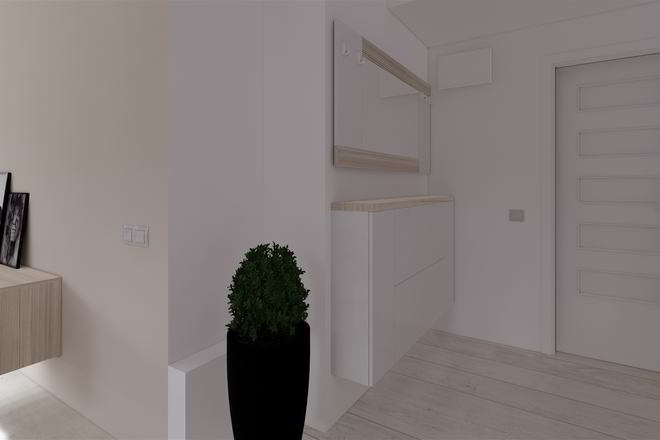 Proiect mobila Hol unit cu Living-Room si Bucataria, cu comoda cu usi, sistem inchidere cu usi batante, 4m², realizat 19 Aprilie 2019 COD.6039